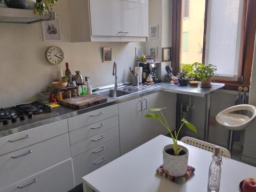 Piccola oasi verde a due passi da zona isola