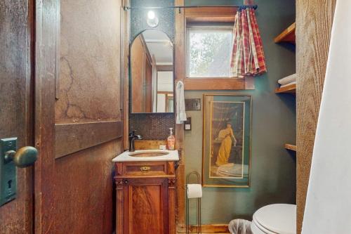 a bathroom with a sink and a mirror and a toilet at Historic Lakefront & Wildlife Haven with Firepit & Gas Grill - Minutes to Water in Burnet