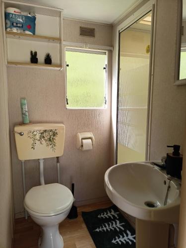 a bathroom with a toilet and a sink at Chatka in Nasutów
