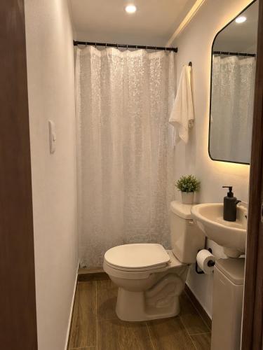 a white bathroom with a toilet and a sink at ECOHostal Las Hamacas Rincon Del Árbol in Villamaría