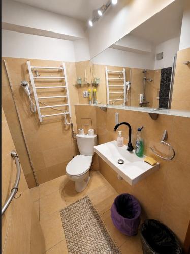 a bathroom with a toilet and a sink and a shower at Apartament Okuninka DINA20 in Okuninka