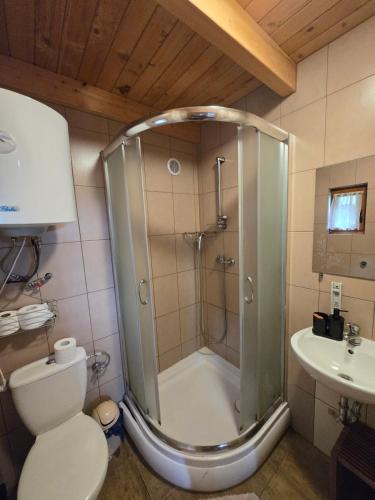 a bathroom with a shower and a toilet and a sink at Hacjenda in Redło