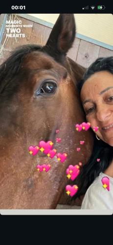 a woman is hugging a horse with hearts on its face at Ranch Borgo Bellavita in Fossalta Maggiore