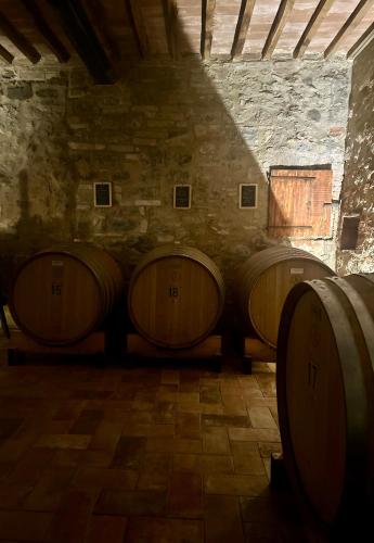 a row of wooden wine barrels in a room at Wine Resort Colsereno in Montalcino
