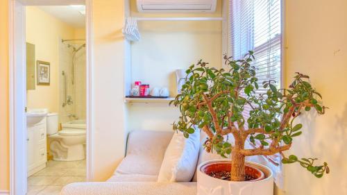 a potted plant sitting on a couch in a bathroom at Lee's Ocean Peek B & B in Stratford