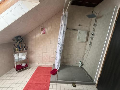 a bathroom with a shower with a red rug at Ferienwohnung mit großem Balkon und Blick in den Taunus in Oberems
