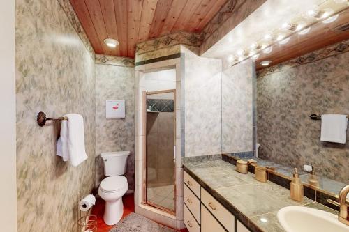 a bathroom with a toilet and a shower and a sink at Mid-Century Modern Lake House with Private Waterfront Pool & Boat Dock in Marble Falls