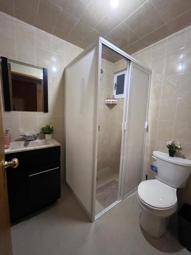 ein Badezimmer mit Dusche, Toilette und Waschbecken in der Unterkunft Rincón acogedor in Toluca de Lerdo