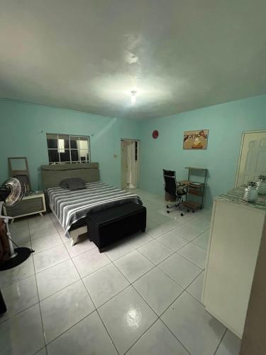 a bedroom with a bed and a desk in it at Ricardo's Rest Spot in Curatoe Hill
