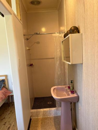 a small bathroom with a sink and a shower at 1 Bedroom Flat with Private Kitchen & Ensuite in Bulli