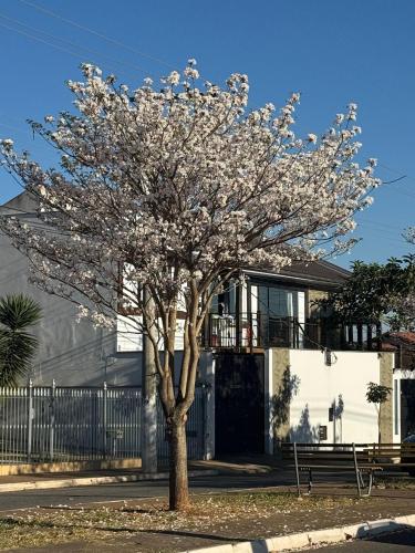 a tree in front of a house with flowers on it at Pousada Carro de Boi in Lavras