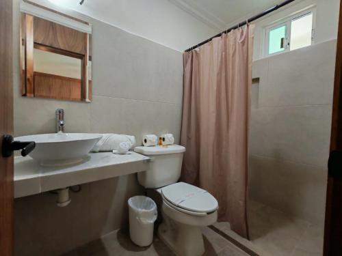 a bathroom with a toilet and a sink and a shower at Hotel CEO Group in Campeche