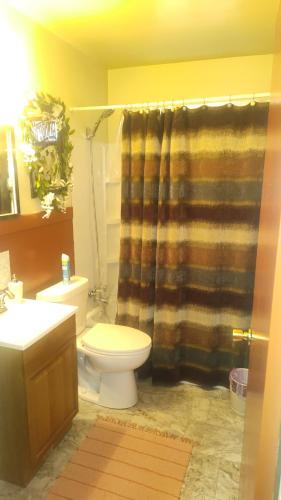 a bathroom with a toilet and a shower curtain at The Sparkle House in Cedar Rapids