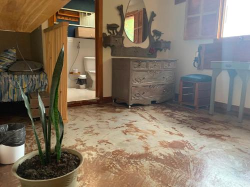 a bathroom with a potted plant on the floor at Hostal El Quinde in Salento