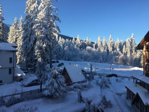 a snow covered yard with a house and trees at Iceberg Apartment 50 in Borovets