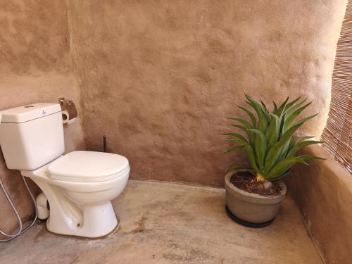 a bathroom with a toilet and a potted plant at Lahara - Komari in Ampara