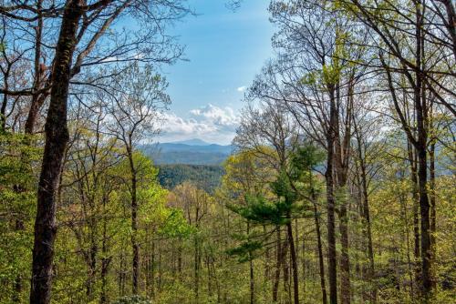 a forest of trees with mountains in the background at Chestnut Lodge in Boone