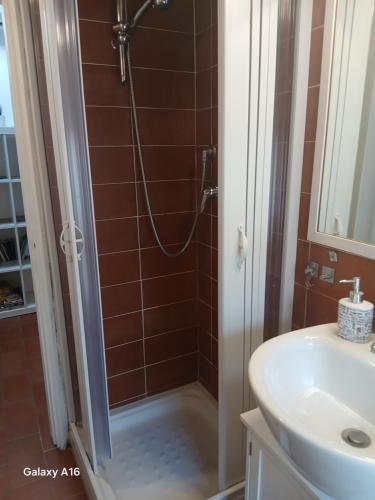 a bathroom with a shower and a sink at Appartamento in centro a Modena - Ca' Pomposa bed&relax in Modena