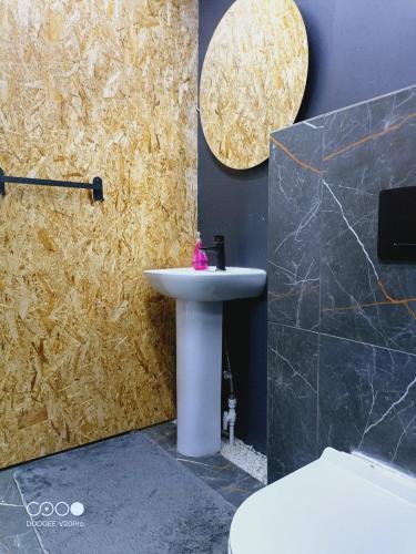 a bathroom with a sink and a toilet and a mirror at Коттедж Бурабай улица Алатау 38 in Borovoye