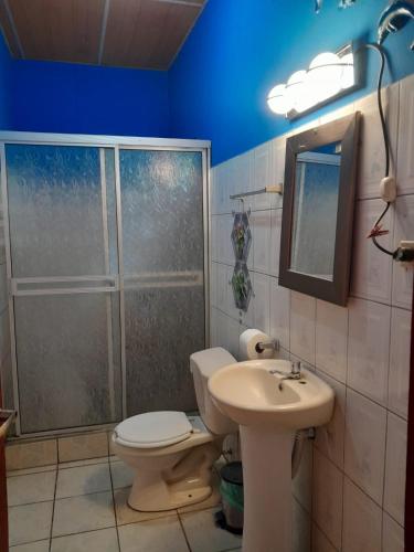 a bathroom with a shower and a toilet and a sink at CASA MARCELa in Altagracia