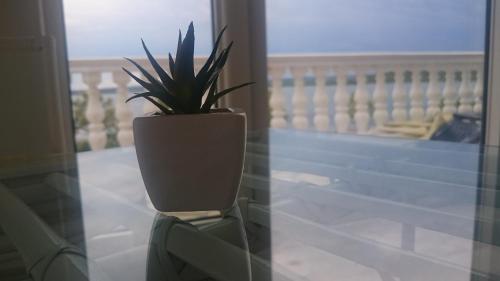 Μπαλκόνι ή βεράντα στο Ocean View Apartments