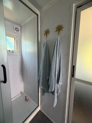 a bathroom with a shower and a glass shower backdoor at Aore Shores Beachfront Bungalow in Aore Island