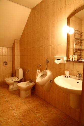 a bathroom with a sink and a toilet and a urinal at Zoloto Karpat in Stryi