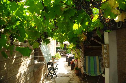 Κήπος έξω από το Le Balcon des Jasses