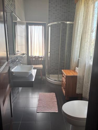 a bathroom with a sink and a shower and a toilet at Gmiel in-Natura B&B in Għajn il-Kbira