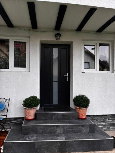 a black front door of a house with two potted plants at Sofia's home in Piatra Neamţ