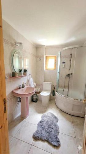 a bathroom with a sink and a toilet and a shower at Cabana de la rau Satic in Sătic