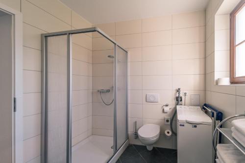 a bathroom with a shower and a toilet at Gästehaus Am Hothertor in Görlitz