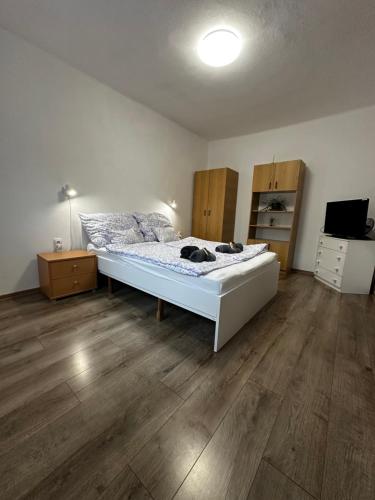 a bedroom with a bed and a television in it at Arnold Apartmanház in Bük