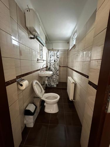 a bathroom with a toilet and a sink at Arnold Apartmanház in Bük
