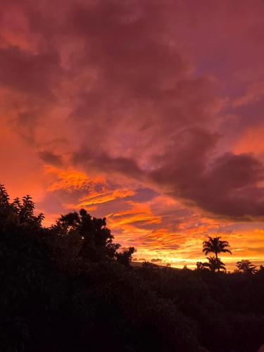 a sunset with a palm tree in the foreground at kaz frangipanier in Entre-Deux