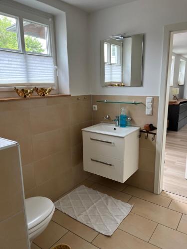 a bathroom with a sink and a toilet and a mirror at Hof Busen Farm Haus in Mönchengladbach