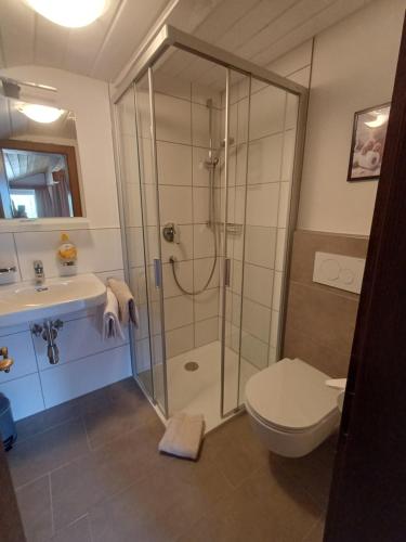 a bathroom with a shower and a toilet and a sink at Pension Sonnenhof in Mieming