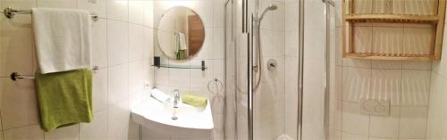 a bathroom with a shower and a sink and a mirror at Apart Hannah in Uderns