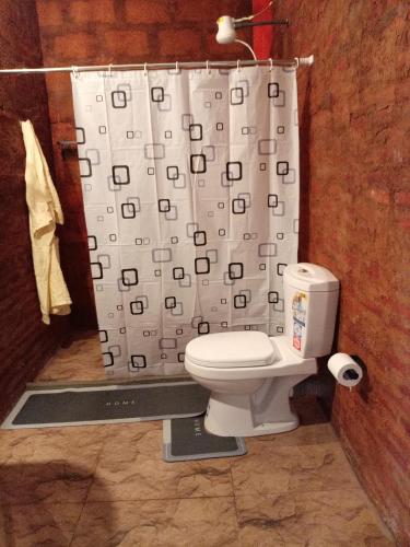 a bathroom with a shower curtain and a toilet at Padiwatte Residencies in Kandy