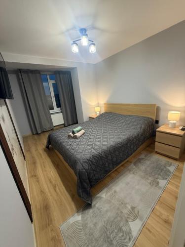 a bedroom with a bed and a ceiling fan at Kogălniceanu 24 in Căuşeni