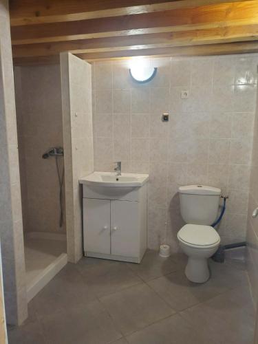 a bathroom with a toilet and a sink and a shower at Tranquillité in Le Cheylard