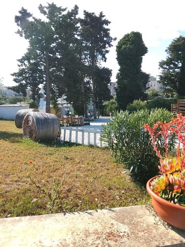a garden with two bales of hay and flowers in a yard at Trullo martina in Martina Franca