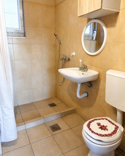 a bathroom with a sink and a toilet and a mirror at Vikendica Ubla in Trebinje