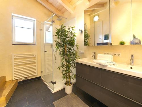 Apartment in Seefeld near Rosshütte Ski Resort