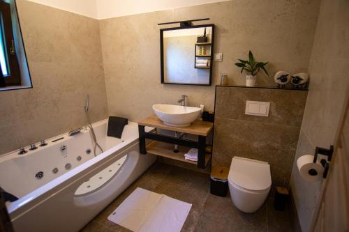a bathroom with a tub and a sink and a toilet at Macaklin Fužine in Fužine