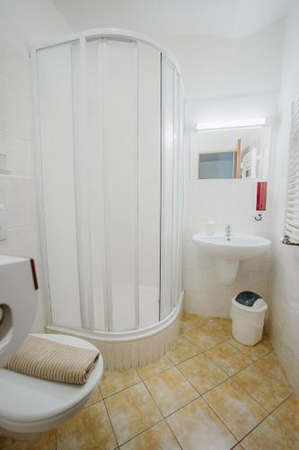 a bathroom with a shower and a toilet and a sink at Penzion Albertovec in Opava
