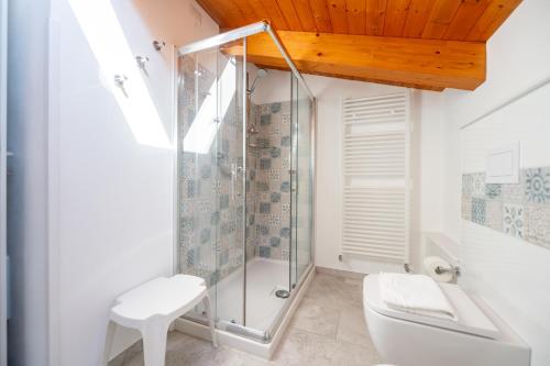 a bathroom with a shower and a toilet at B&B Casale Pietrantica Tropea in Ciaramiti