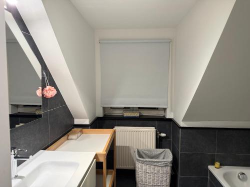 a bathroom with a sink and a window at Martinique in Chaumont-Gistoux