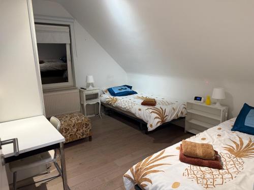 a bedroom with two beds and a mirror at Martinique in Chaumont-Gistoux