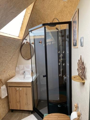 a bathroom with a shower and a sink at le dôme avec bain nordique in Amfroipret